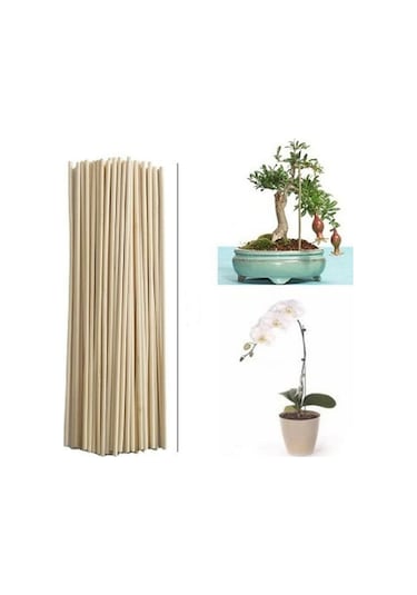 Saksı Bitkileri Destek Çubuğu 35 Cm 50 AD
