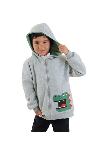 Denokids Dinozor Erkek Çocuk Fermuarlı Kapüşonlu Sweatshirt - Gri