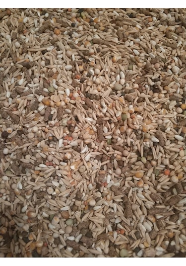 Goldmind Mix Karışım Kemirgen Yemi 2 KG