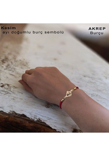 Archin Kasım Ayı Doğumlarına Minik Kuş Motifli Kırmızı Örgülü 14 Ayar Altın Plakalı Hediye Bileklik-363ay Kasım