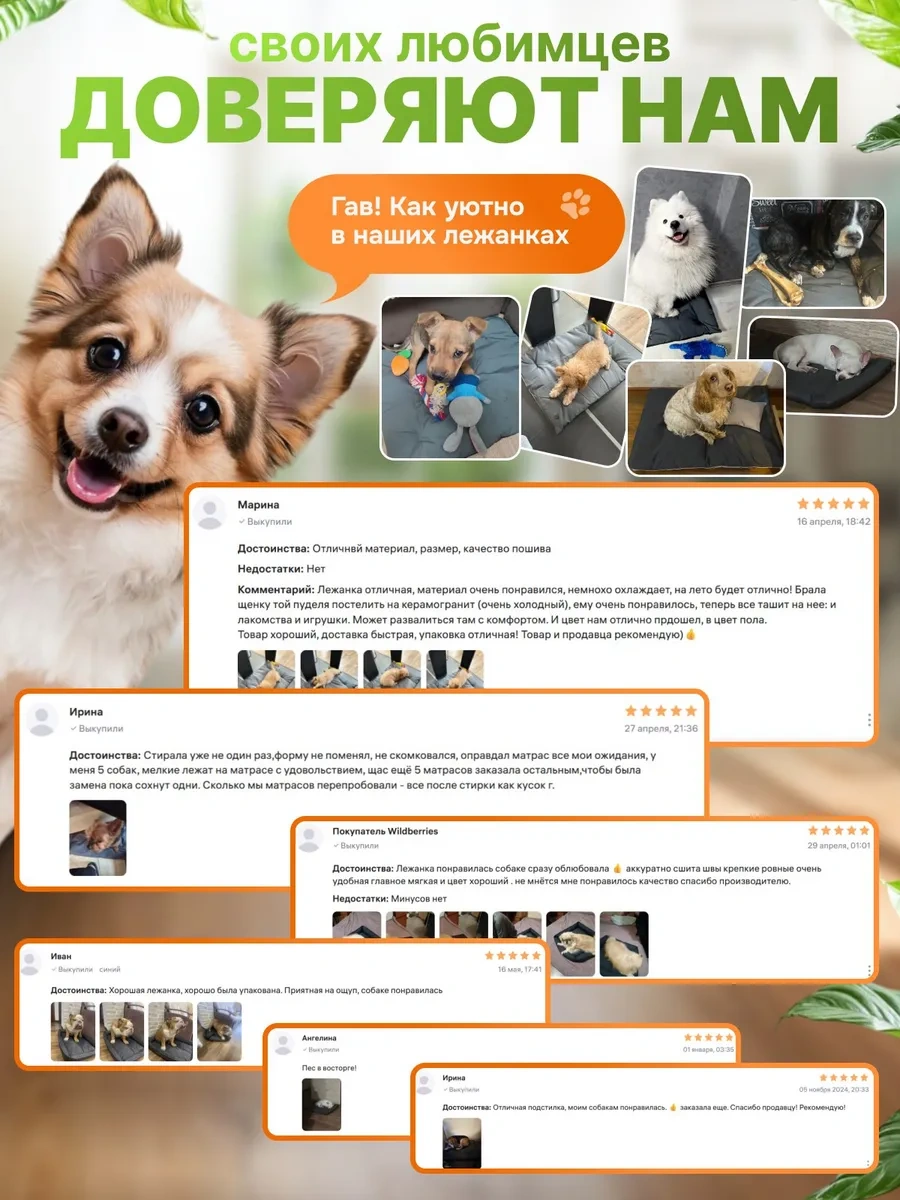 Gurenkot Köpek Yatağı 245497195