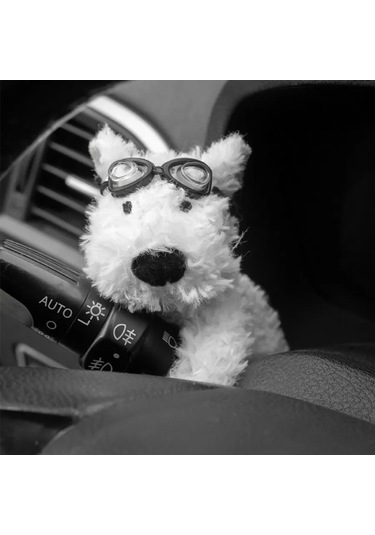 Mıshek Goods Araç İçin Panel Oyuncağı 290924009