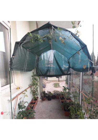 Morilu Zeytin Toplama Filesi Sergenlik Zeytin Yaygısı  Yüzde 75'lik Zeytin Filesi Toplama Örtüsü