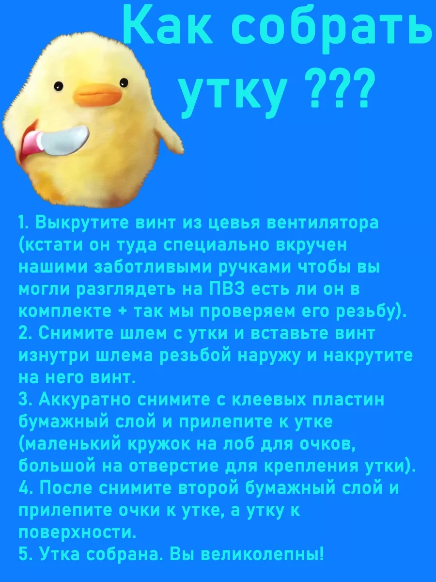 Market Alls Aracın İçinde Kasklı Ve Gözlükleri Olan Ördek 153255376