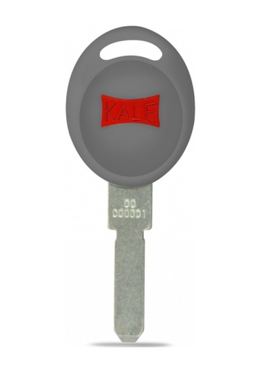 Tüpten Şifreli Silindir Ham Anahtarı-173 P