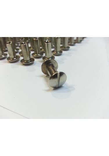 1 CM DOSYA VİDASI 100 ADET NİKEL İNOX RENK