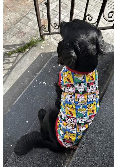 Küçük Orta Irk Yazlık Duffy Supreme Tişört