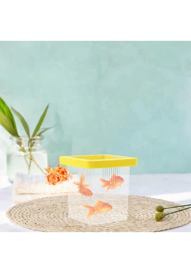 Homyl Yüzen Balık Yetiştiricisi Kutusu Palyaço Balığı,