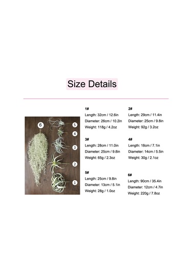 Qingmipy 3 Plastik Simülasyon Ananas Otu Yapay Bitki - Ev Ofis Düğün Dekorasyonu Masaüstü Saksı Bitkisi Yeşil