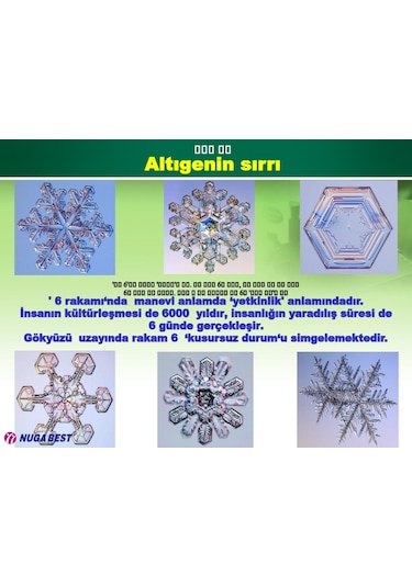 MİRACLE I TORMANYUM TAŞLI KEMER