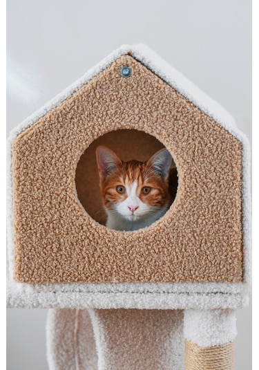 Kuara Bella Kedi Ağacı 3 Katlı Tırmalama Direği Yatak ve Oyuncaklı