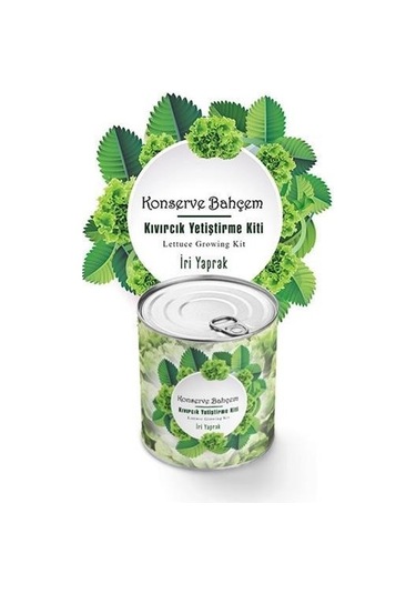 Buffer Konserve Bahçem Evde Konservede İri Yapraklı Kıvırcık Yetiştirme Kiti Mavi
