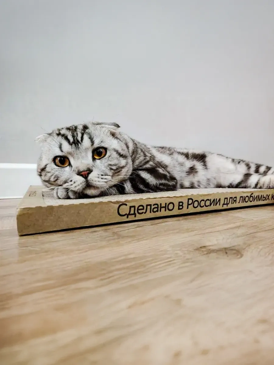 Kogtedralka 30x56 Cm Büyük Karton Buruşuk Kediler İçin Tırmalama Kulesi 23790736