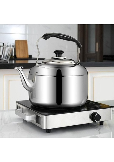 Fortunelane Soba Üstü 8 L Ergonomik Saplı Paslanmaz Çelik Çaydanlık Su Isıtıcısı Çelik