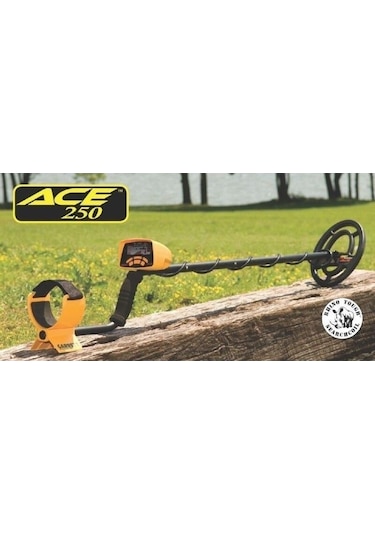 Garrett Ace 250