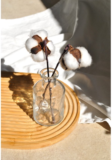 Cam Mini Vazo Şeffaf Dekoratif Minimal Şişe 210 Ml 12 Cm-1 Adet