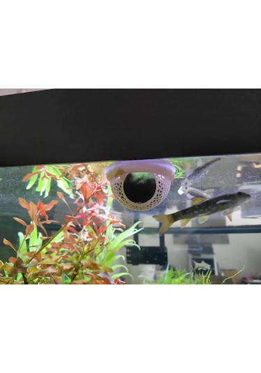 Akvaryum Için Yüzen Saklama Alanı Betta Balığı Için Gizlenme Ka