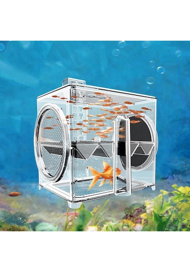 Suntek Balık Üremesi Izolasyon Kutusu Tankı Kuluçkahane