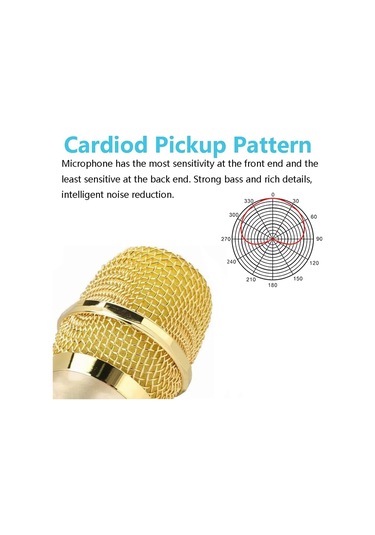Kablosuz Çift Dinamik Mikrofon Sistemi Şarj Edilebilir Alıcı Altın 1 Mikrofon