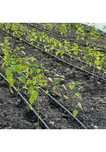 Delikli Damlama Sulama Hortumu Damlama Borusu Set 16Mm 200 Metre