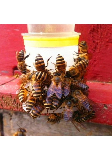 Pazly Suyu Suntek Su Içme Ekipmanları Besleyici Arı Paket 10 Adet Vf