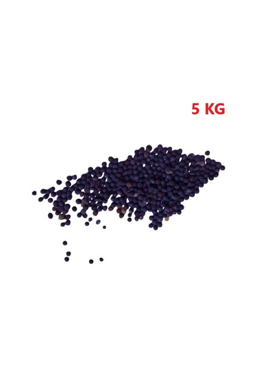 Yem Şalgamı Bitki Tohumu 5 Kg