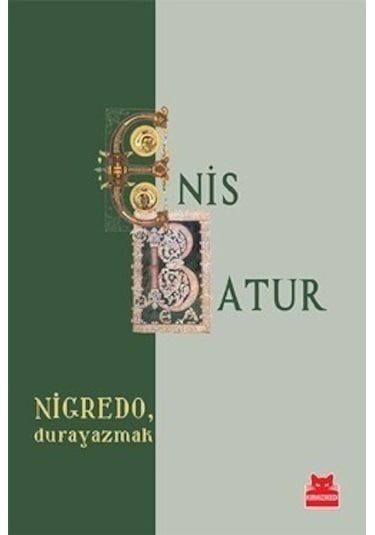 NigredoDurayazmak - Enis Batur - Kırmızı Kedi