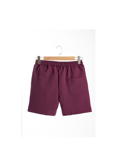 Terapi Men Erkek Mürdüm Basic Regular Fit Şort & Bermuda Mürdüm