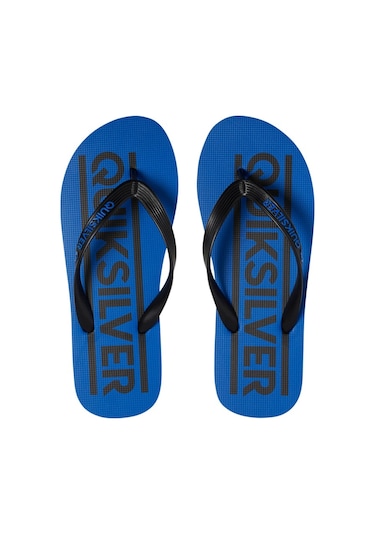Quiksilver Java Wordmark Youth Erkek Çocuk Parmak Arası Terlik Mavi