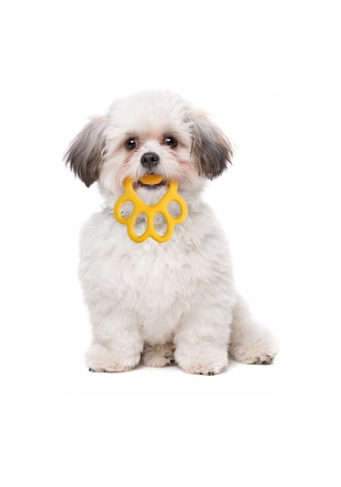 Orma Köpek Oyuncağı Sarı