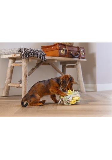 Beeztees Köpek Ödül Saklama Oyuncağı, Top, Polar, Gri/yeşil, 13cm