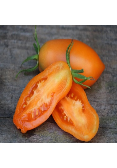 Chukloma Orange Domates Tohumu 15 Tohum