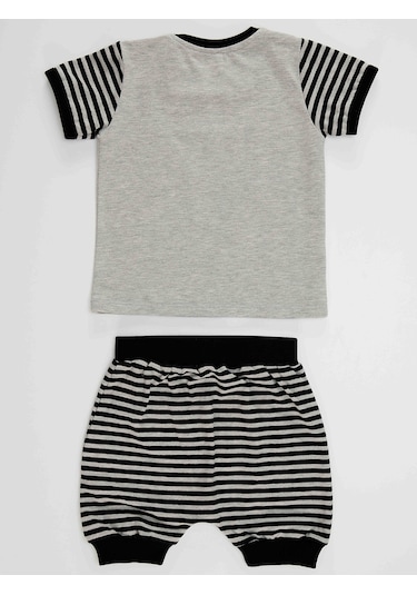 Denokids Rakun Erkek Bebek T-shirt Kısa Pantolon Takım Gri
