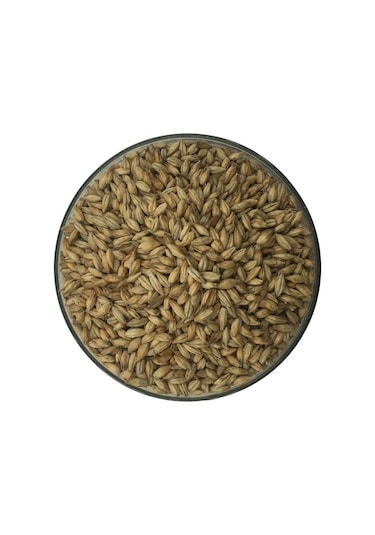 Hitit Malt Viyana Arpa Maltı 1 KG