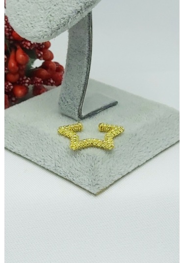 Caisyabutik Altın Kaplama Özel Seri Renkli Taşlı 2 Li Kombin Çelik Kıkırdak Altın