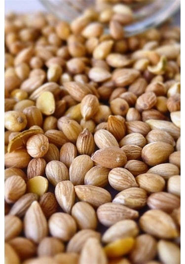 Organik Bitkim Mahlep (Toz) 200 G