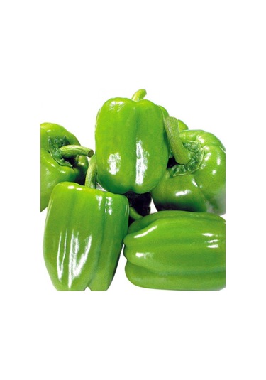 Dolma Biber Yetiştirme Seti