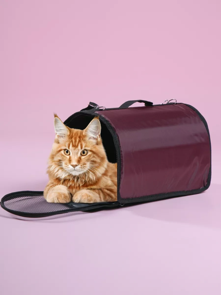 Bobrıkgora Katlanabilir Kedi Ve Köpek Taşıma Çantası 103769062