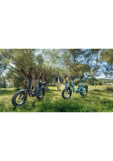 Yamaha Ebike Booster Easy 20 Jant Elektrik Destekli Bisiklet Yeşil