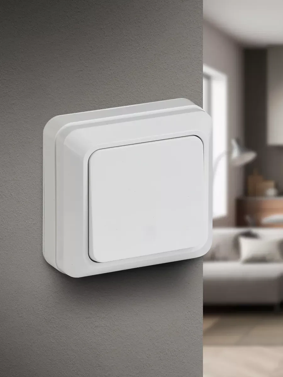 Intro Quadro 250v Tekli Düğmeli Anahtar 261824251