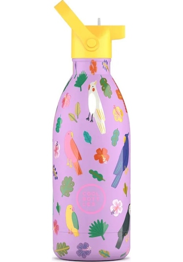 Cool Bottles Paslanmaz Çelik Suluk - The Kids Bottle Fly Free 500ml Çok Renkli