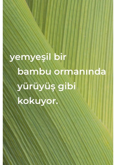 Method Çok Amaçlı Yüzey Temizleyici Bambu Kokulu 828ml Tekli