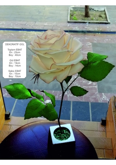 Dekoratif Gül Ambiyans