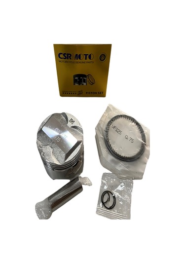 Piston Segman Gt250 050 Csr