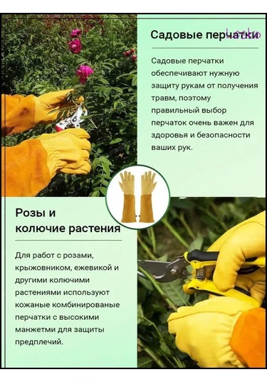 Dianziye Doğal Deri Bahçe Eldiveni - Çalı Ve Dikenli Bitkiler İçin Dayanıklı, Kesilmeye Dayanıklı, 41 Cm M Beden