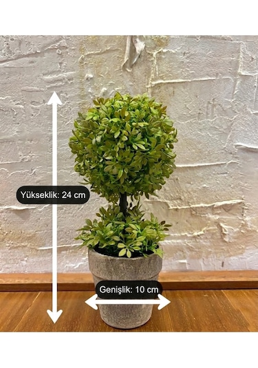 Minimalist Çift Katlı Yeşim Topiary Aranjmanı 24 Cm X 10 Cm Yeşil