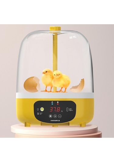 Maoyaya Yumurta Tavuk Suntek Papağan Makinesi Makinesi Kuluçka Kuluçka Rg