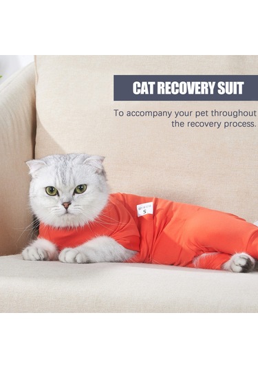Geeksen Kedi Postoperatif Koruyucu Giysi - Dört Ayaklı, Esnek Kumaş, Yara Yalama Engeli - Turuncu, M Bedeni
