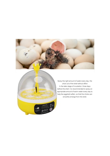 Qianfan Mini Yumurta Kuluçka Makinesi Otomatik Sıcaklık Nem