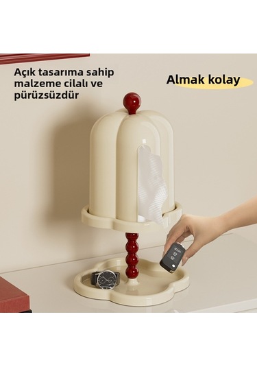 Beige Antik Tarzdaki Fransız Retro Doku Kutusu Gelişmiş Kutu Beyaz